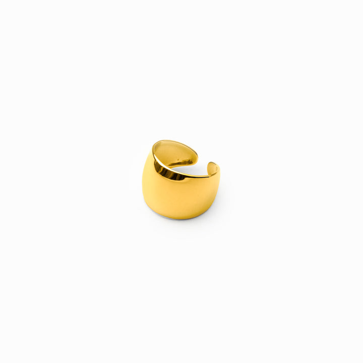 ri_0003