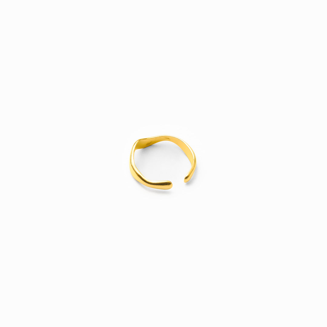 ri_0006