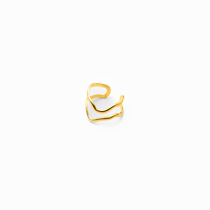 ri_0008