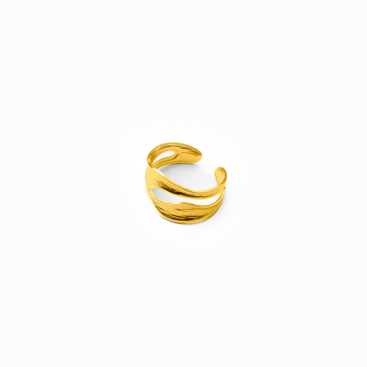ri_0011
