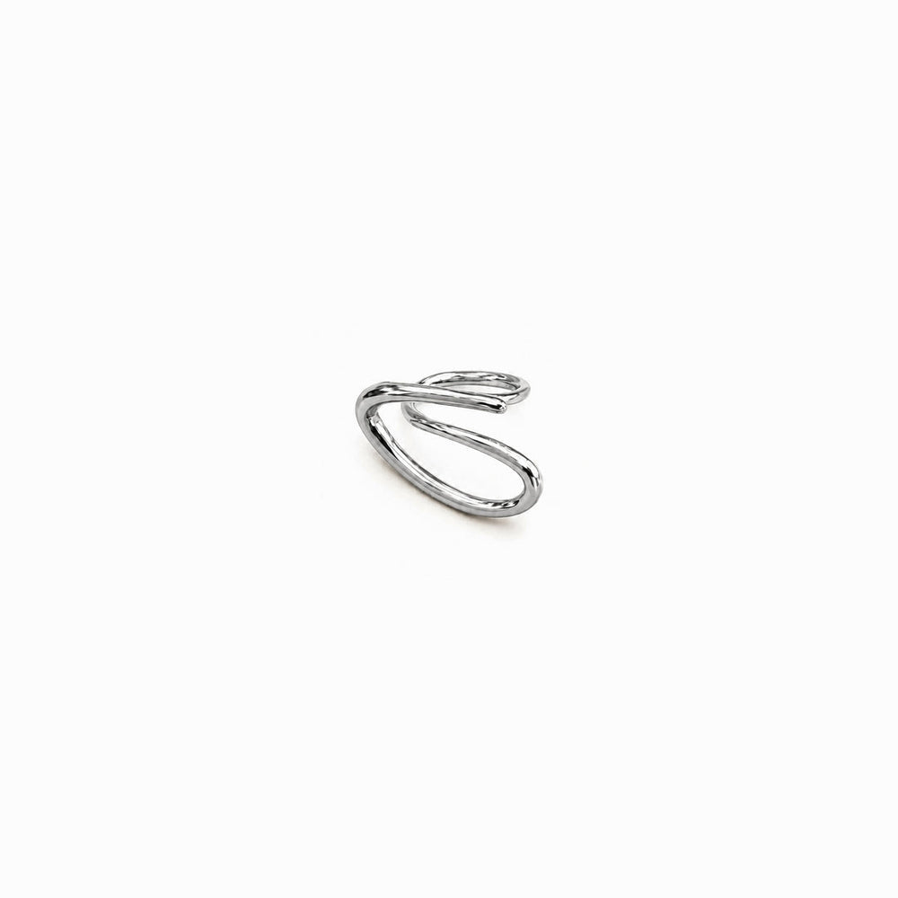 ri_0023 Silver